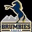 Brumbies